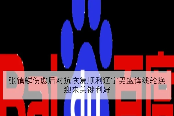 张镇麟伤愈后对抗恢复顺利辽宁男篮锋线轮换迎来关键利好